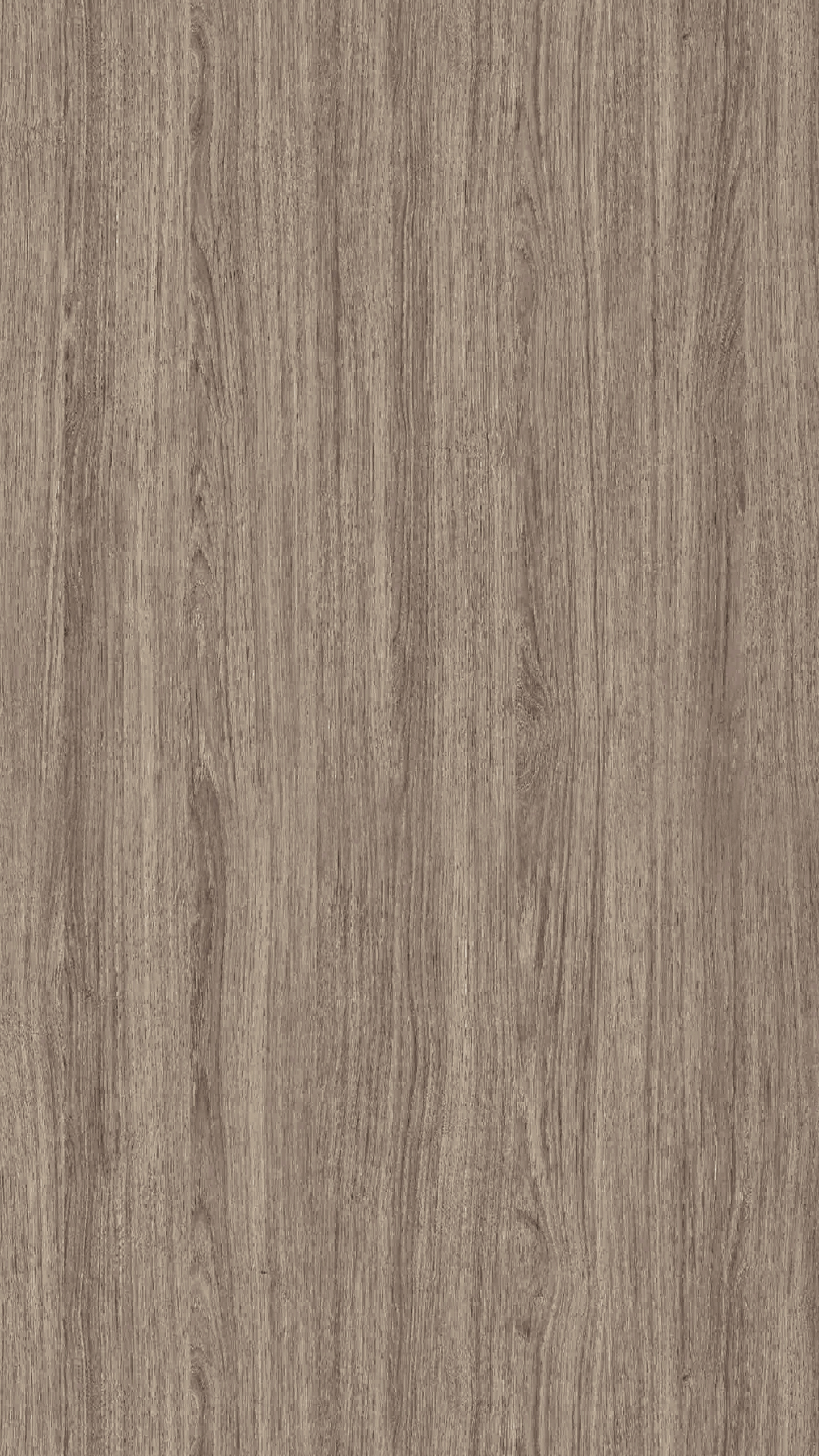Mã:21417-ev Mẫu :21417-EV